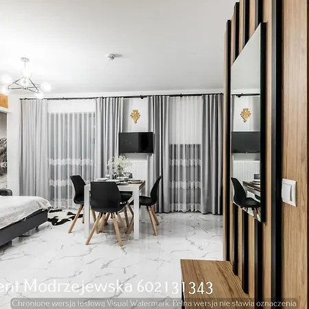 Apartament Modrzejewska Закопане Екстер'єр фото